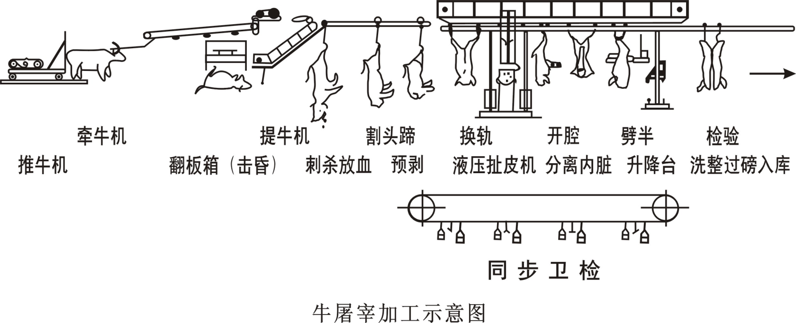 肉牛屠宰加工工艺流程介绍
