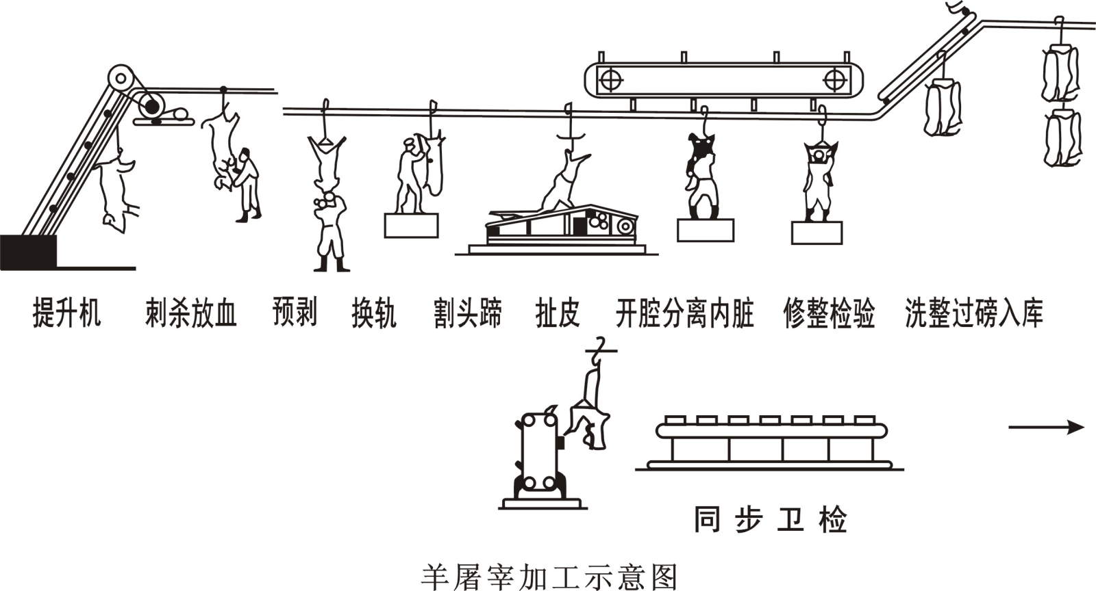 肉羊屠宰加工工艺流程介绍