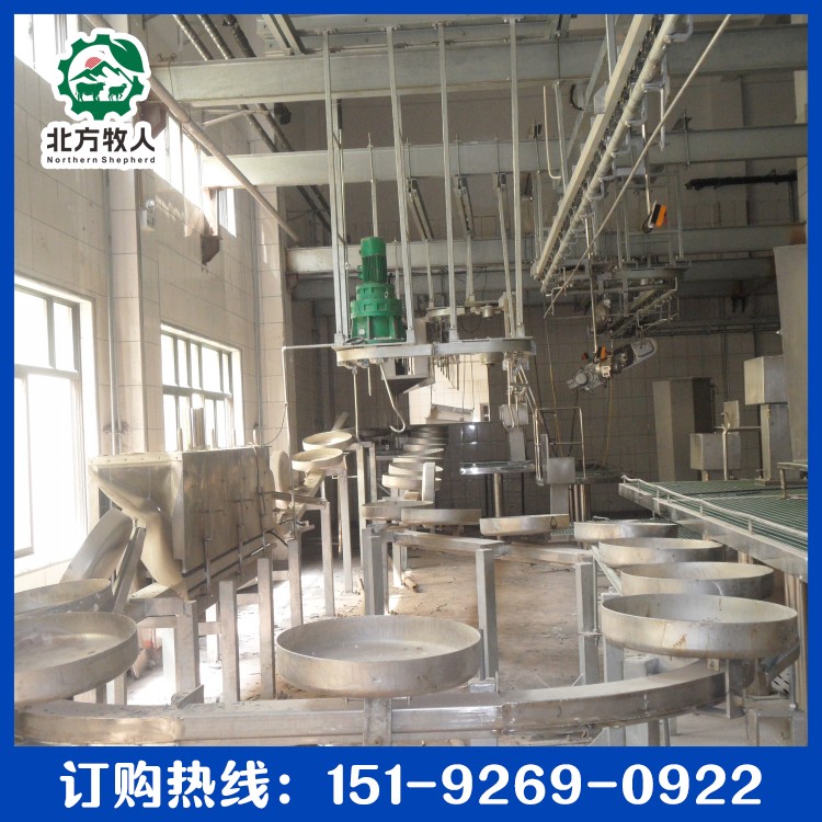 conew_sam_0373.jpg conew_sam_0373.jpg